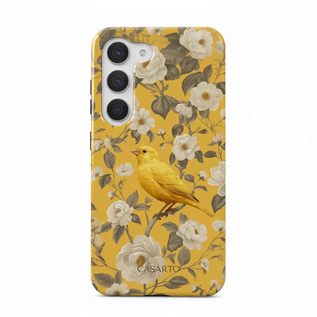 Jardin des oiseaux
