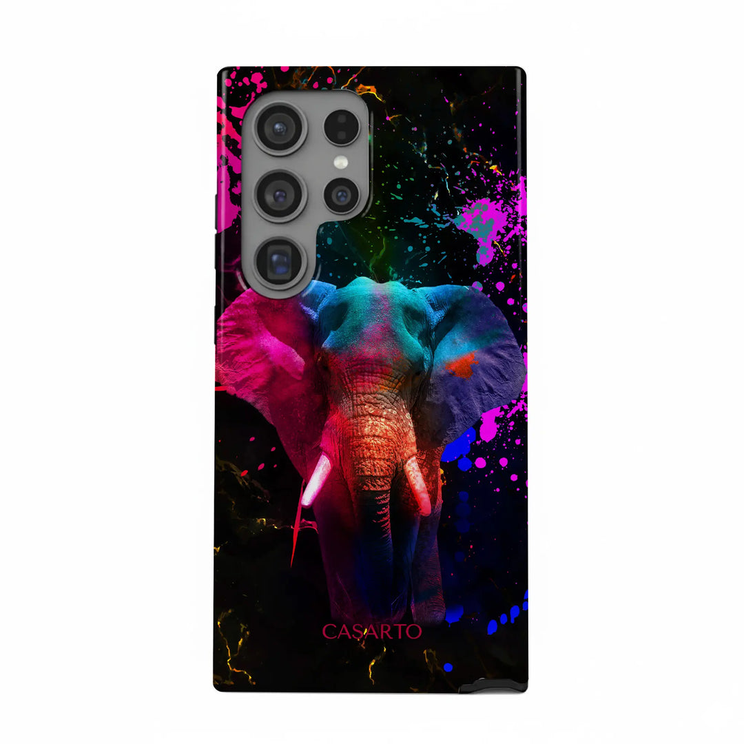 Éléphant coloré