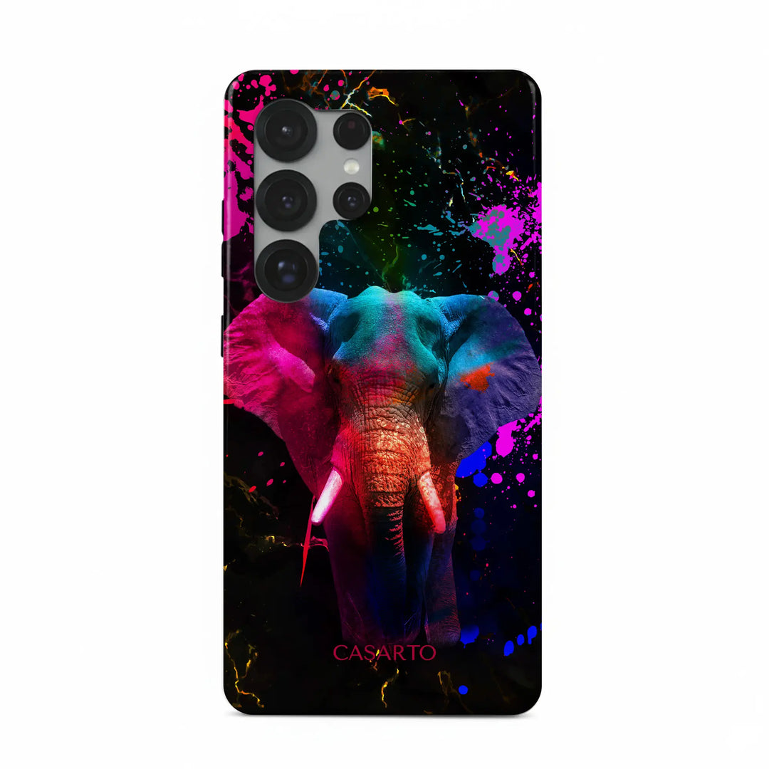 Éléphant coloré