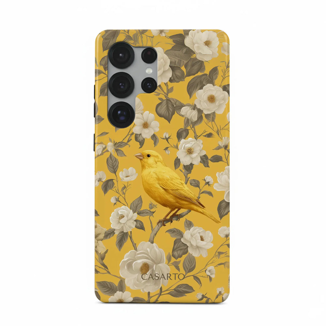 Jardin des oiseaux
