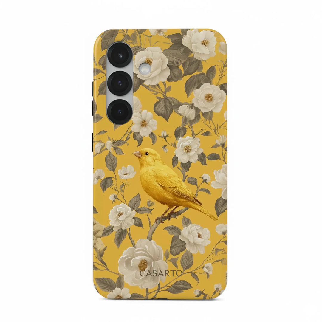 Jardin des oiseaux