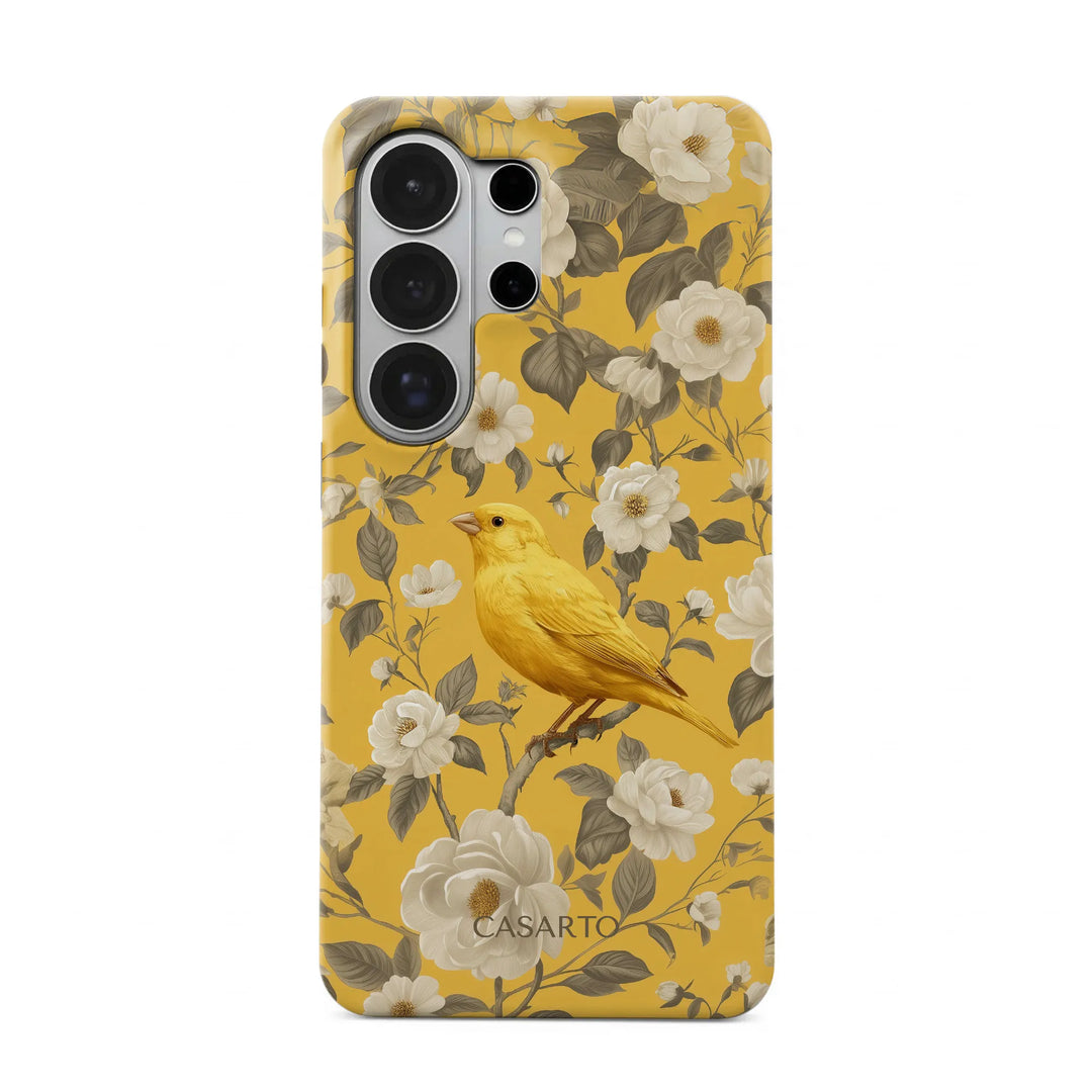 Jardin des oiseaux