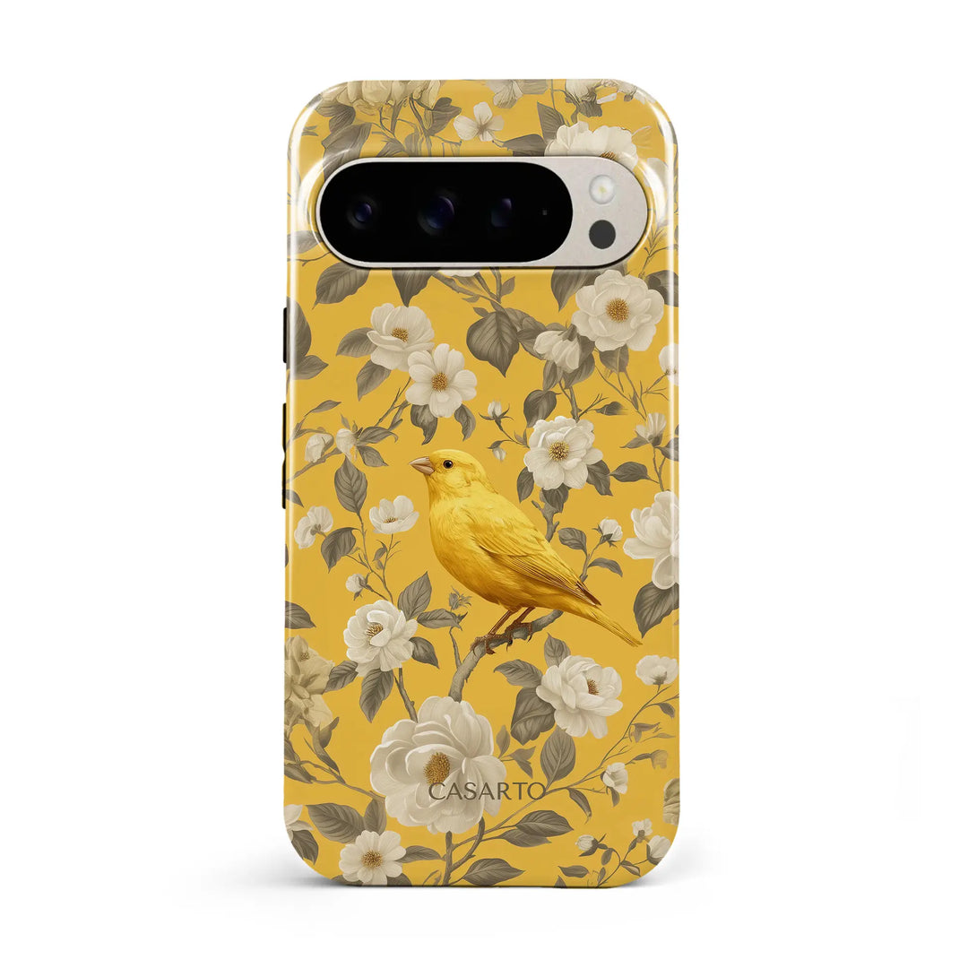 Jardin des oiseaux